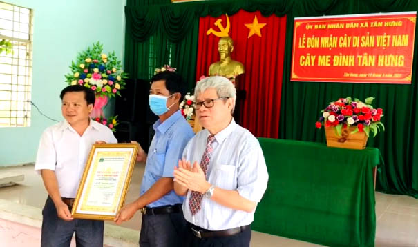 Cây[-]Me[-]tại[-]huyện[-]Ba[-]Tri,[-]tỉnh[-]Bến[-]Tre[-]được[-]công[-]nhận[-]Cây[-]Di[-]sản[-]Việt[-]Nam